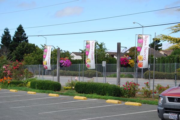Gorgeous roadside banners draw attention to Regan Nursery in Fremont, CA and promote braod product categories.