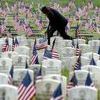 Memorial Day (Office Closed)
