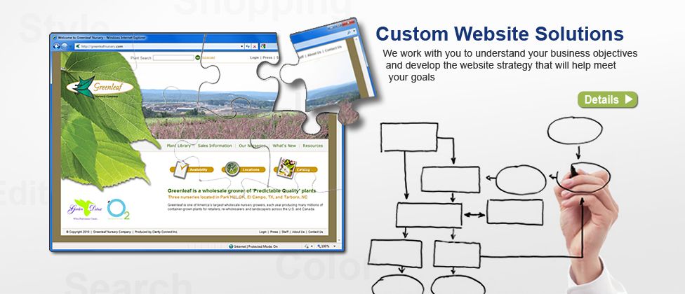 Custom Website Solutions