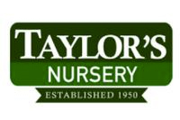 Taylors Nursery