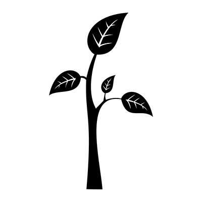 SAPLING Digital Marketing Package