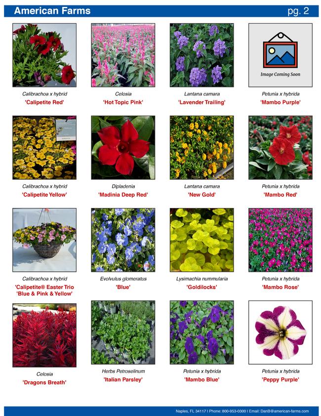 One of the page styles has 16 plants per page with only a picture and the plant name.