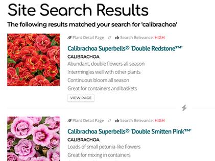 Improved Site Search Is Here