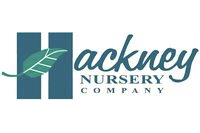 Hackney Nursery