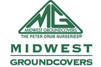 Midwest Groundcovers
