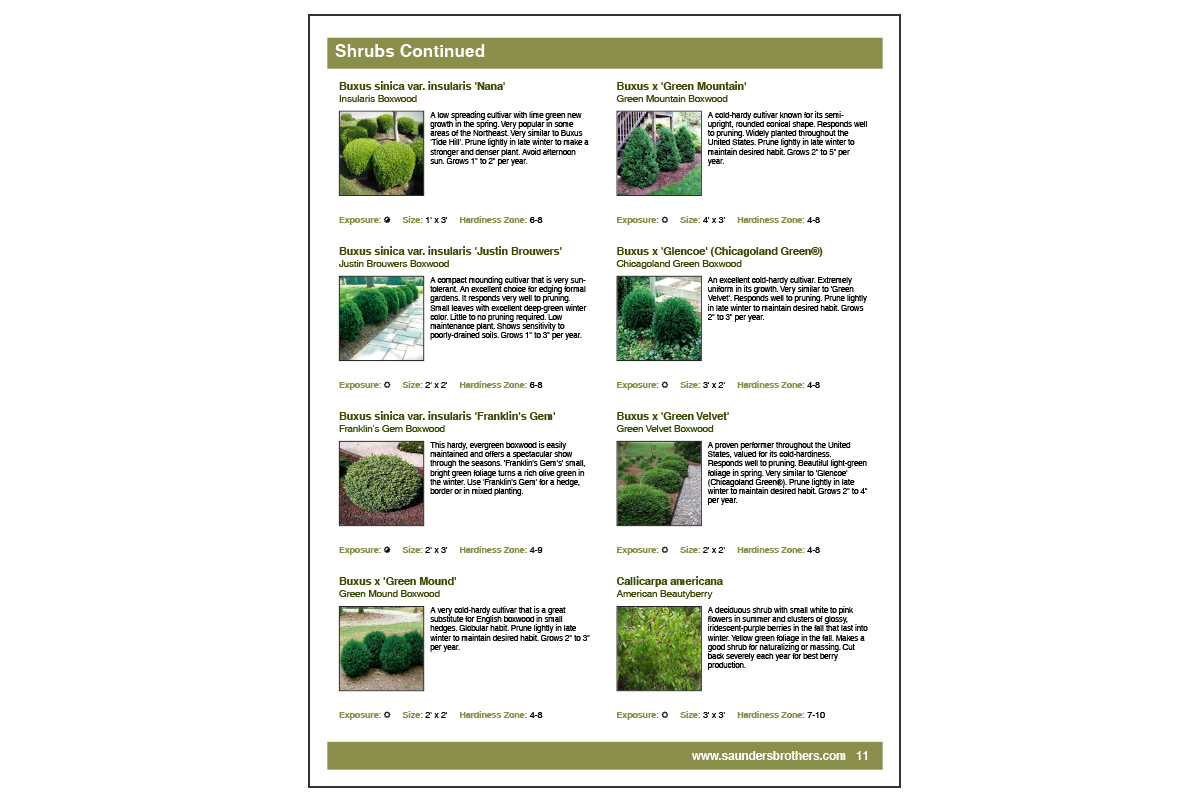 <strong>Saunders Brothers Nursery: 8 plants per page organized by Plant Category</strong>