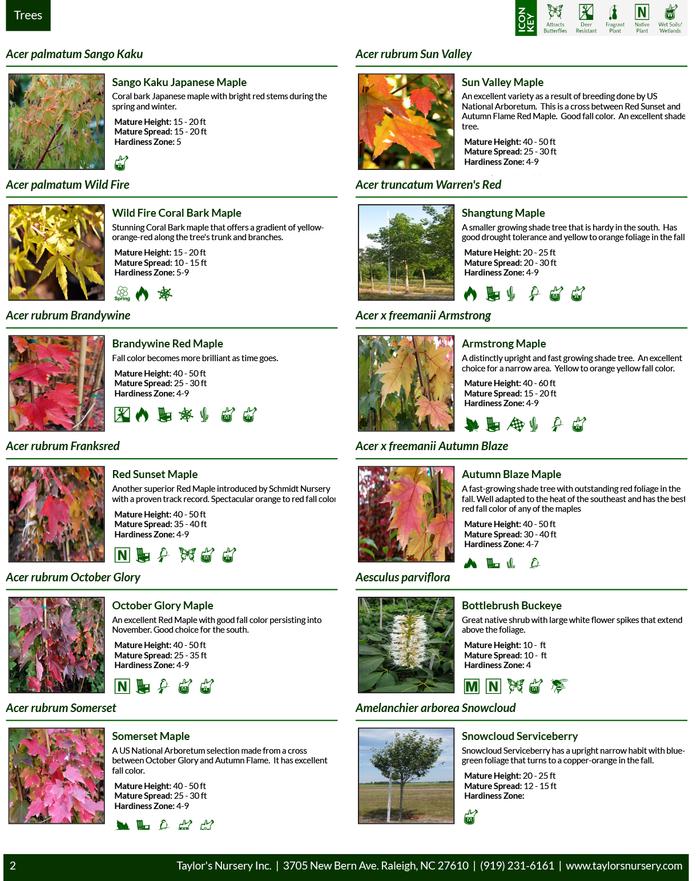 <strong>Taylor's Nursery Buying Guide non-cover page: 12 plants per page with images and descriptions.</strong>