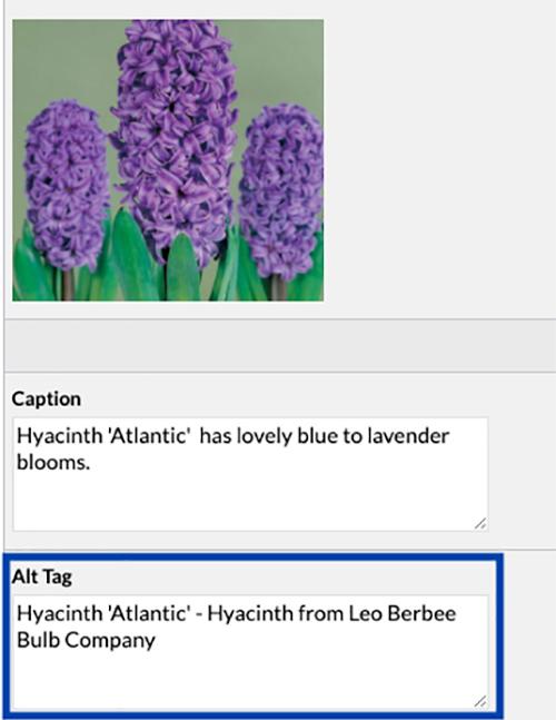 Each image in the plant library has a new field for the Alt Tag. It is prepopulated with the plant name and the name of the company associated with the website.