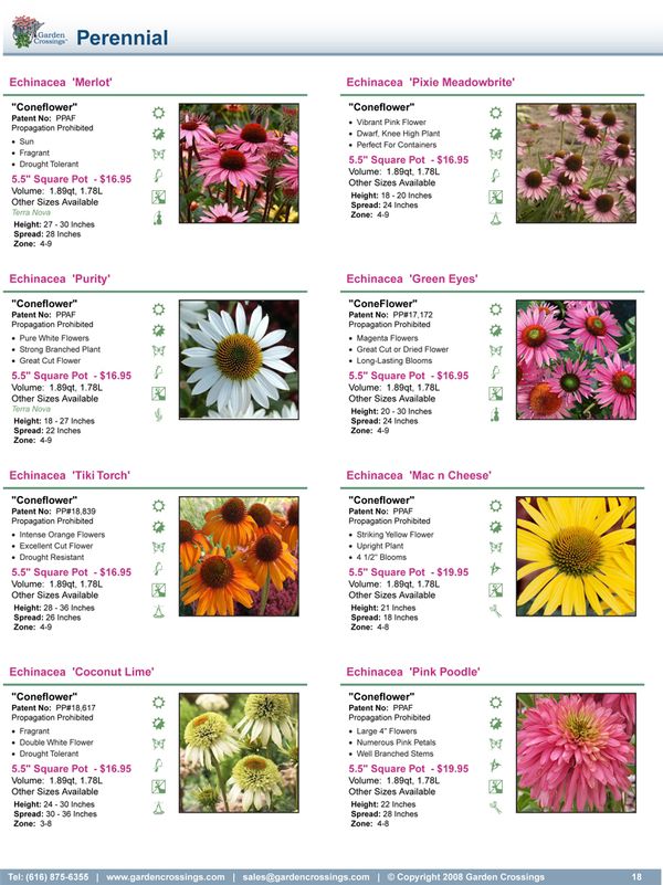 This page style has 8 plants per page, each with an image and icons for the primary characteristics.